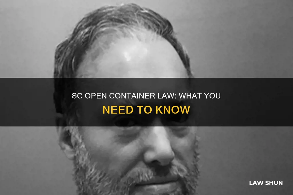 does sc have an open container law