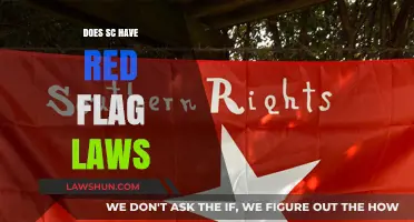 Exploring South Carolina's Stance on Red Flag Laws: A Comprehensive Overview