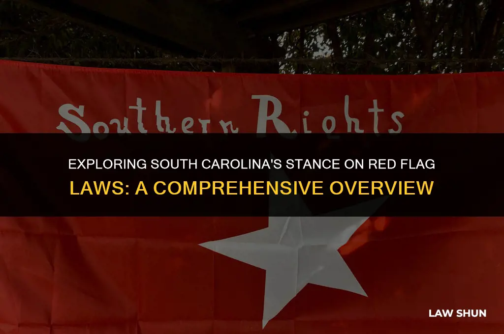 does sc have red flag laws