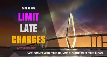 Understanding South Carolina's Late Charge Limitations: A Comprehensive Guide