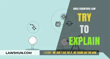 Unraveling the Mysteries: How Scientific Laws Explain Our Universe