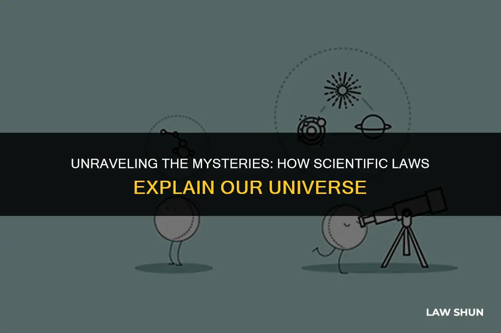 does scientific law try to explain