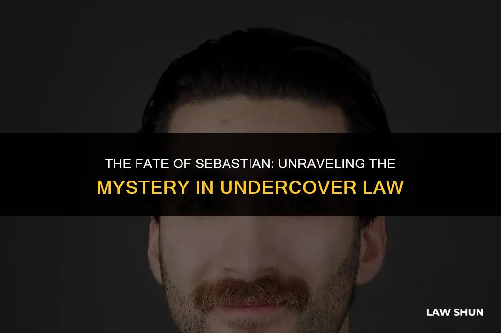 does sebastian die in undercover law