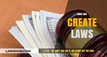 SEC's Role: Creating Laws or Something Else?
