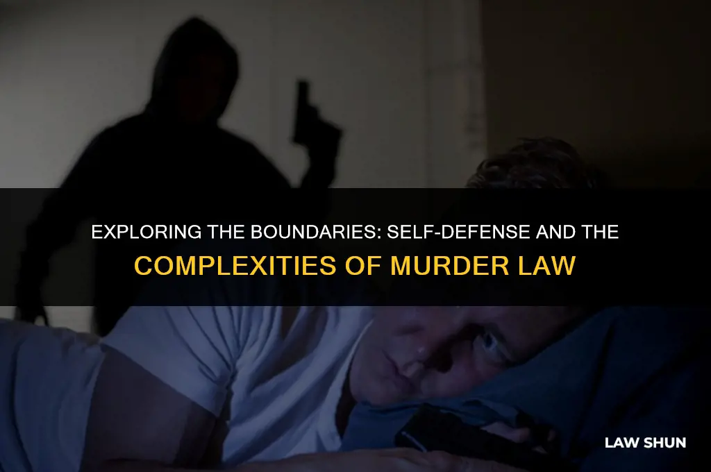 does self defense law cover murder