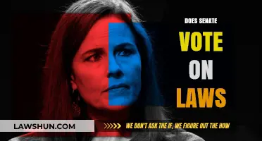 How Does the Senate Vote on Laws? A Comprehensive Guide