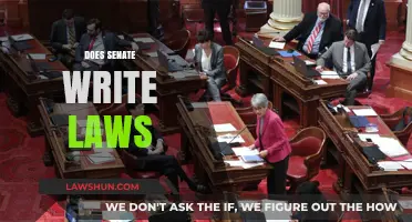 Does the Senate Write Laws? Understanding the Legislative Process