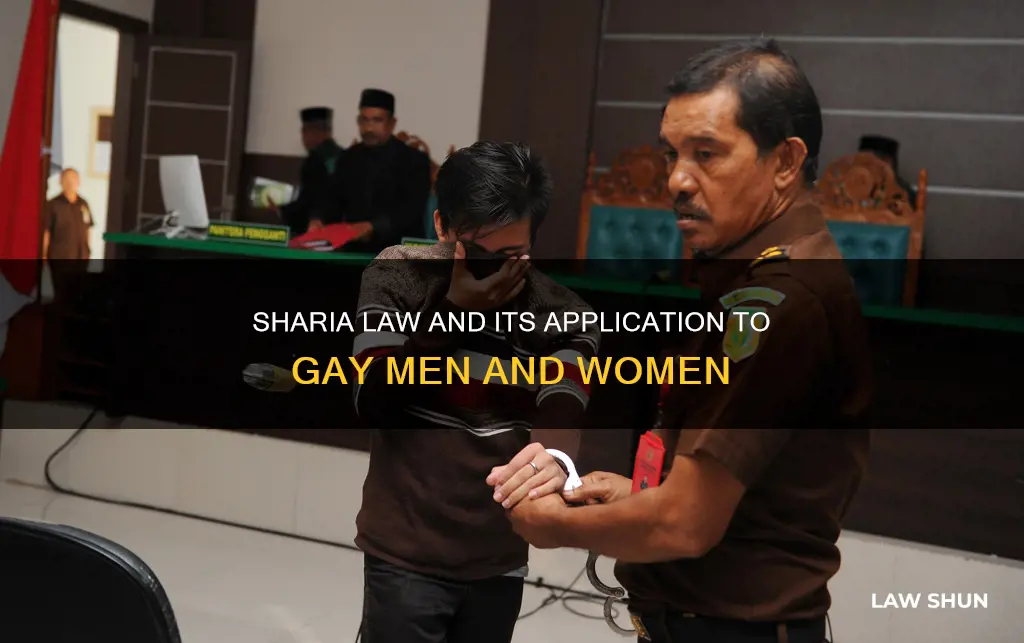 does sharia law apply men and women who are gay