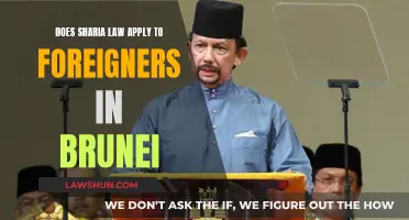 Sharia Law in Brunei: Foreigners and Its Applications