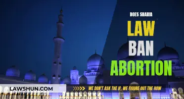 Sharia Law and Abortion: What Does It Prohibit?