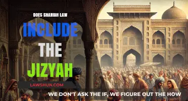 Understanding Jizyah: Its Role and Interpretation in Sharia Law