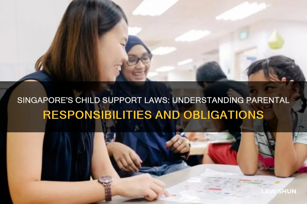 does singapore have child support laws