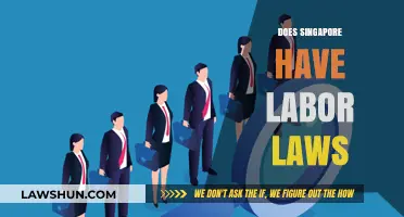 Understanding Singapore's Labor Laws: Rights, Protections, and Regulations Explained