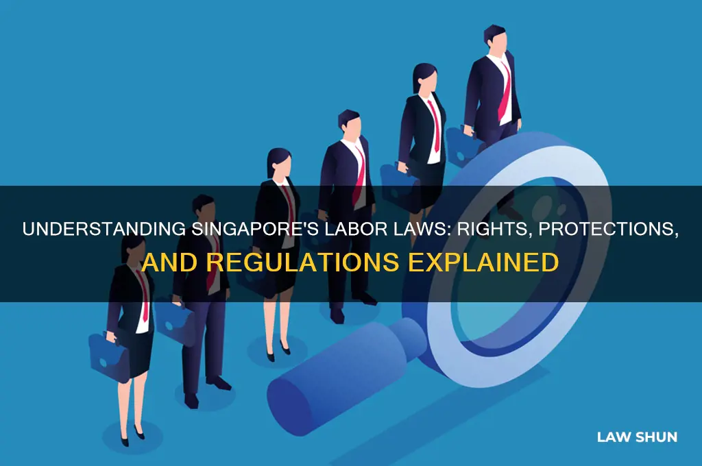 does singapore have labor laws