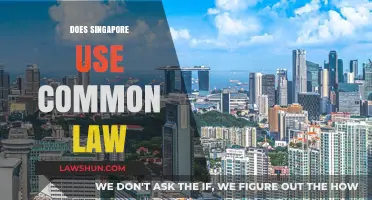 Singapore's Legal System: Common Law or Civil Law?