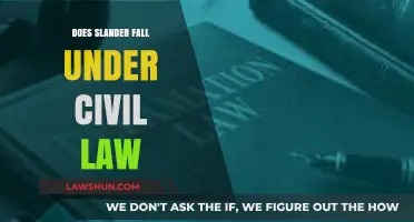 Understanding Slander: Civil Law Implications and Legal Recourse Explained