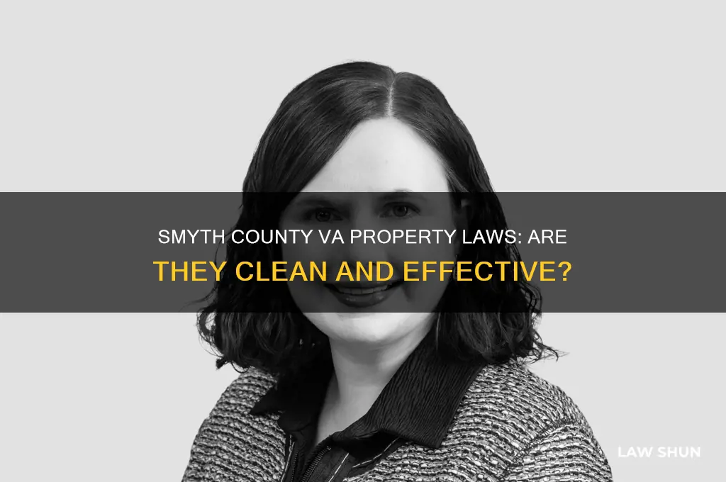 does smyth county va have clean property laws