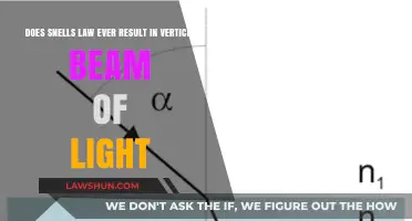 Exploring Snell's Law: Can Light Ever Travel Vertically?
