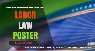 Sole Member LLCs: Labor Law Poster Compliance Requirements Explained