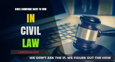 Must There Always Be a Winner in Civil Law Disputes?