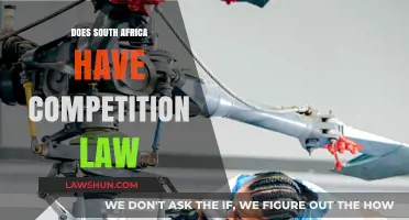 Exploring South Africa's Competition Law: A Comprehensive Overview