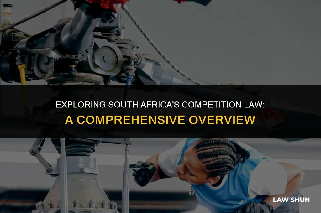does south africa have competition law