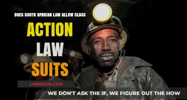Can South Africans File Class Action Lawsuits? Legal Insights Explained