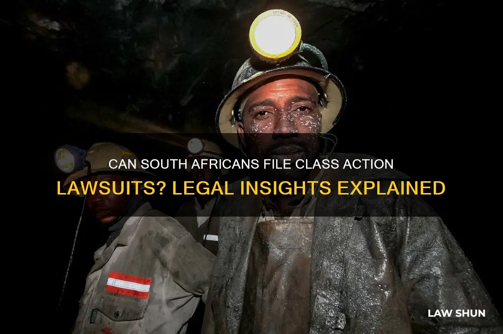 does south african law allow class action law suits