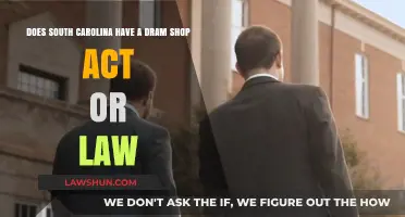 South Carolina's Dram Shop Law: Understanding Liability for Alcohol Providers