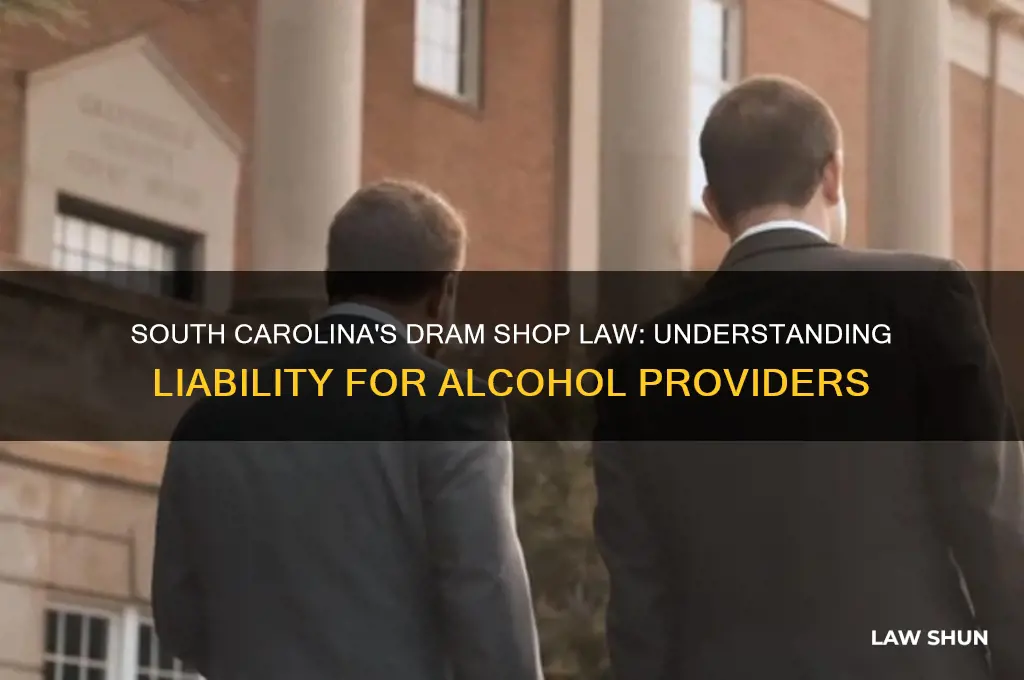 does south carolina have a dram shop act or law