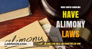 Understanding Alimony Laws in South Carolina: A Comprehensive Guide