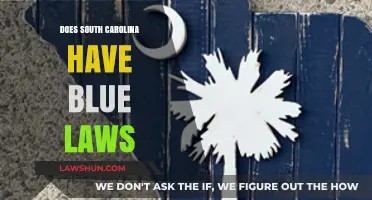 Exploring South Carolina's Blue Laws: A Comprehensive Guide