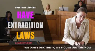 Understanding South Carolina's Extradition Laws: A Comprehensive Guide