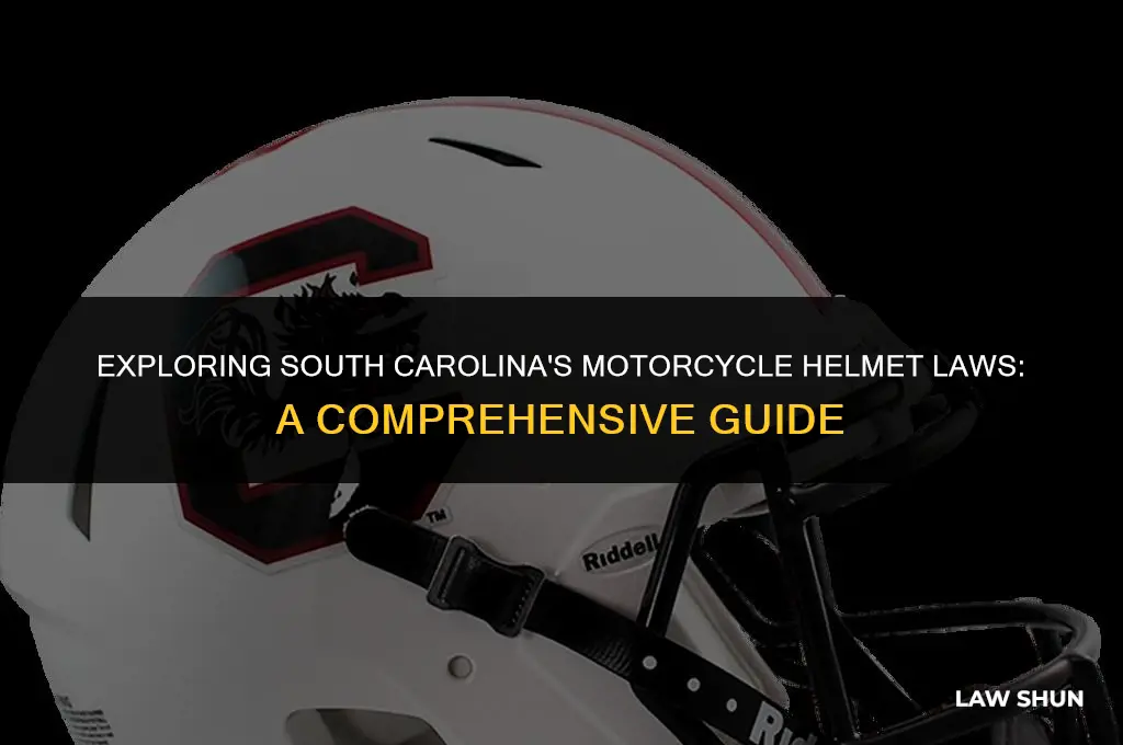 does south carolina have helment laws