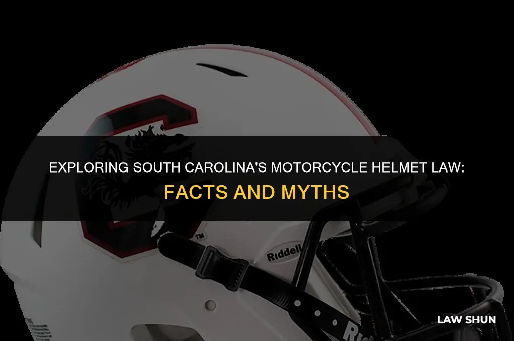 does south carolina have helmet law