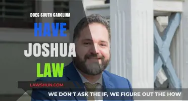 Exploring South Carolina's Legal Landscape: The Joshua Law Debate