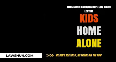 South Carolina's Home Alone Laws: What Parents Need to Know