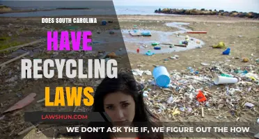 Exploring South Carolina's Recycling Laws: A Comprehensive Guide