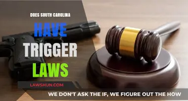 Exploring South Carolina's Legal Landscape: Do Trigger Laws Exist?