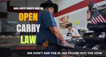 South Dakota's Open Carry Law: Understanding Your Rights and Regulations