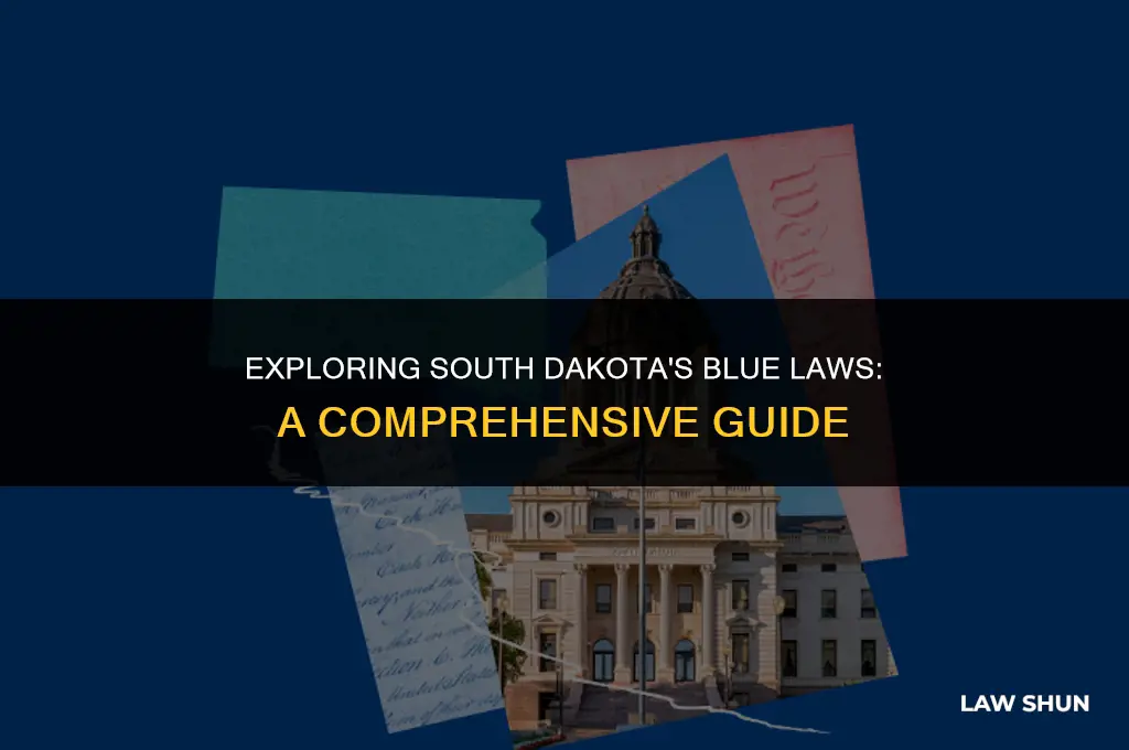 does south dakota have blue law