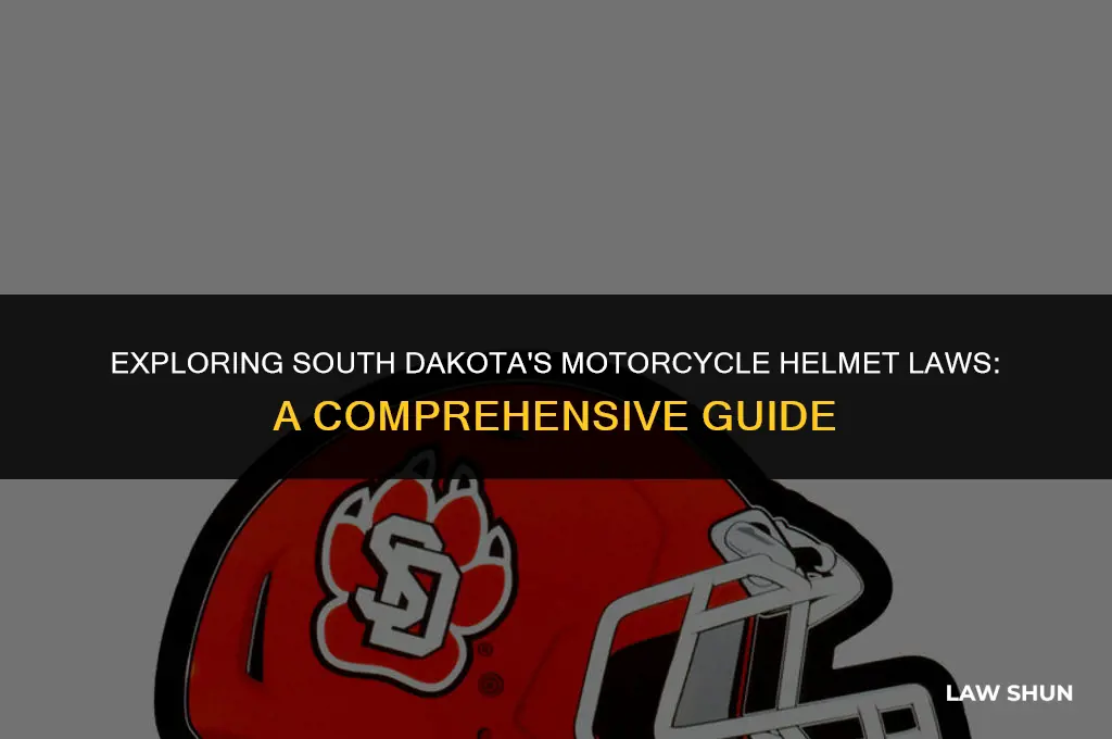 does south dakota jave helmet laws
