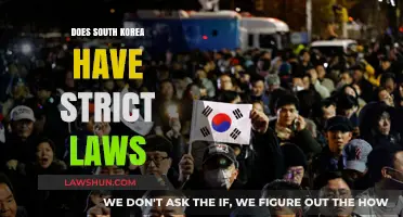 Exploring South Korea's Legal Landscape: Strict Laws and Their Impact