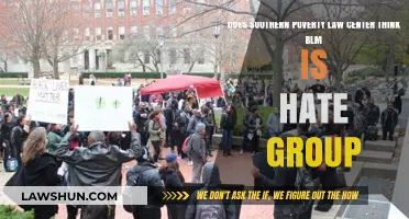 Is BLM a Hate Group? SPLC's Stance Explained