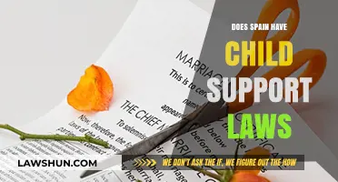 Understanding Spain's Child Support Laws: Legal Obligations and Family Responsibilities