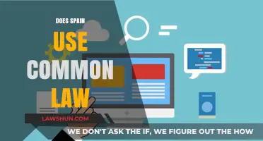 Spain's Legal System: Common or Civil Law?