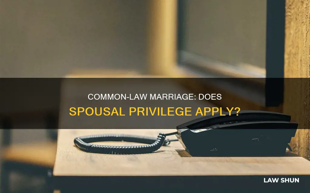 does sposal privlege apply to common law marriage