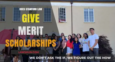 Unlocking Opportunities: Stanford Law's Merit Scholarship Insights