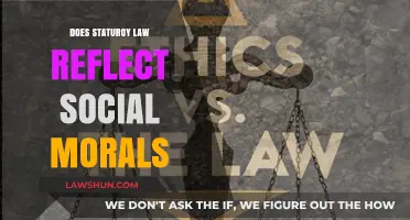 Do Statutory Laws Mirror Society's Moral Compass?
