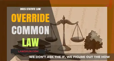 Statute Law vs Common Law: Who Wins?